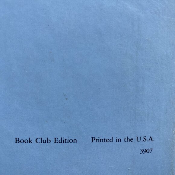 The Adventures of Strawberry Shortcake and Her Friends Hardcover 1980 - Picture 13 of 14